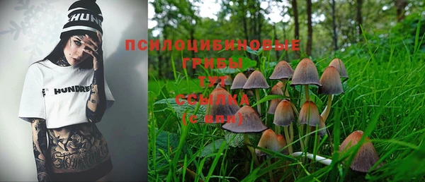 ешки Бугульма