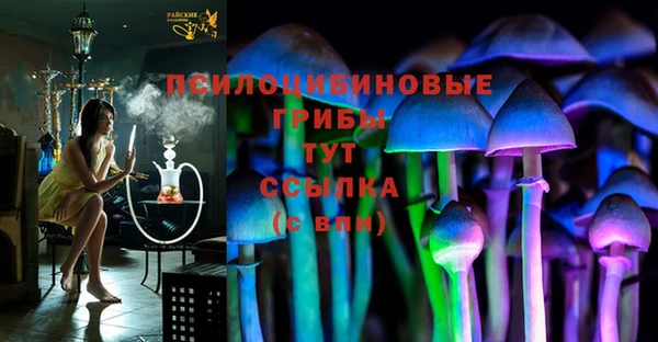 MDMA Premium VHQ Бородино