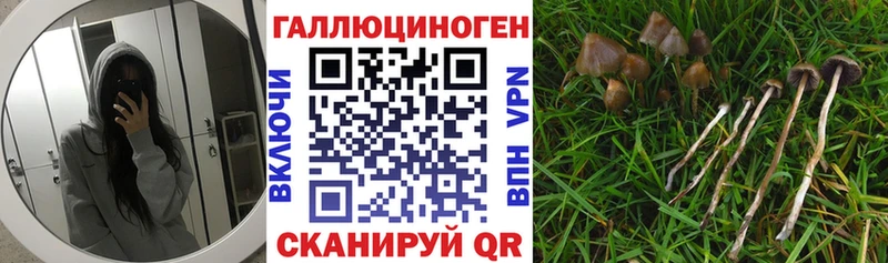 Галлюциногенные грибы Cubensis  Тула 